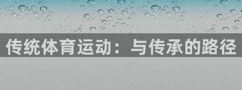 yy易游官网下载:传统体育运动:与传承的路径